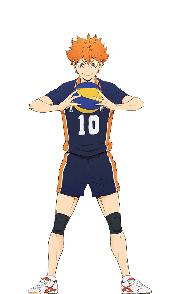 Shoyo Hinata v5