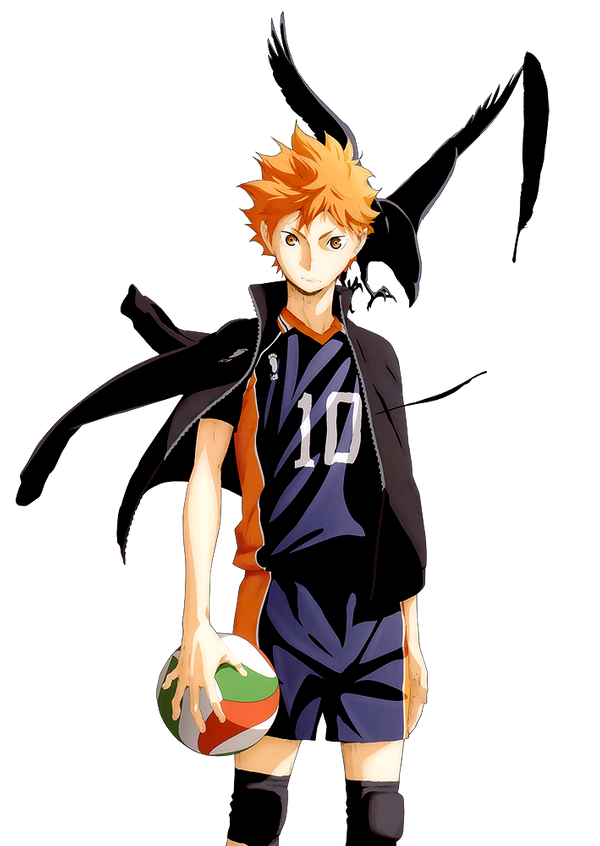 Shoyo Hinata v4
