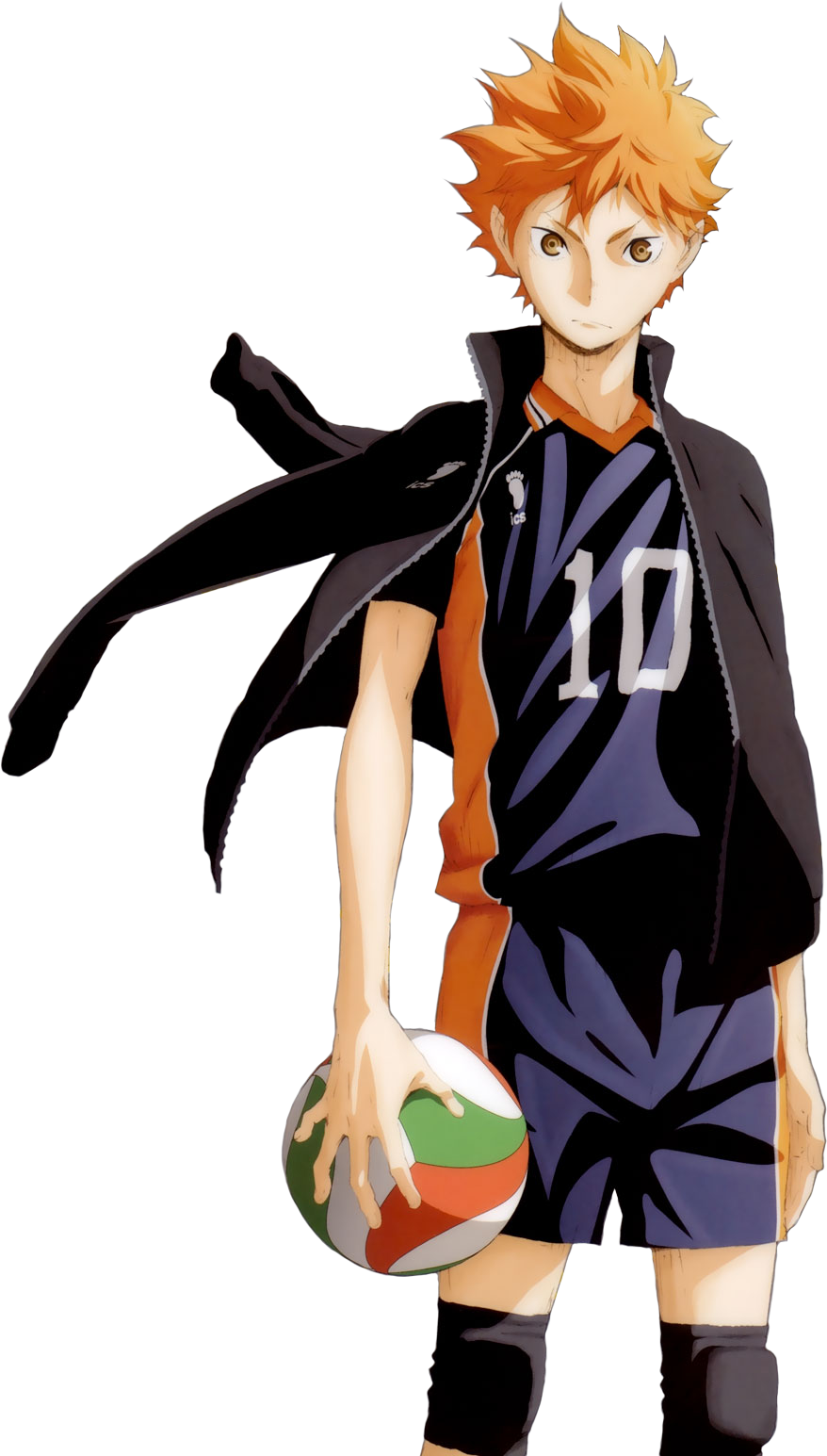 Shoyo Hinata v3