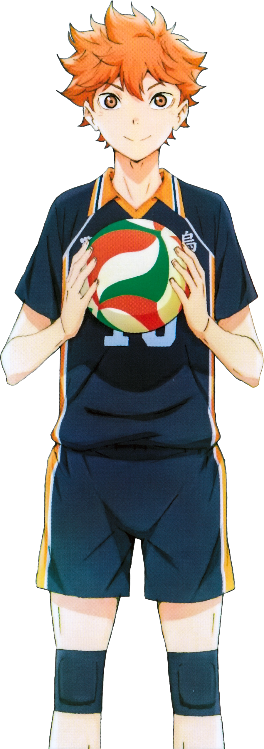 Shoyo Hinata