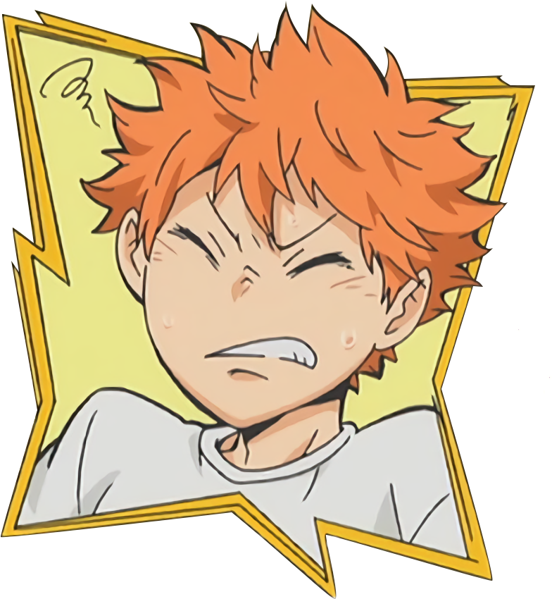 Shoyo Hinata v8