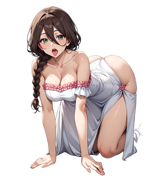 Zaneri