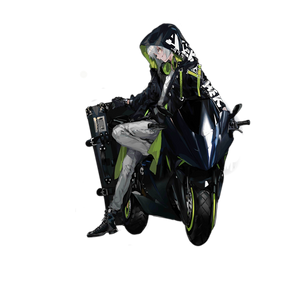 AEK-999 Peerless Yakuza Rider