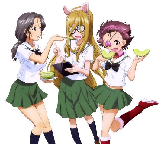 Anteater Team Melon