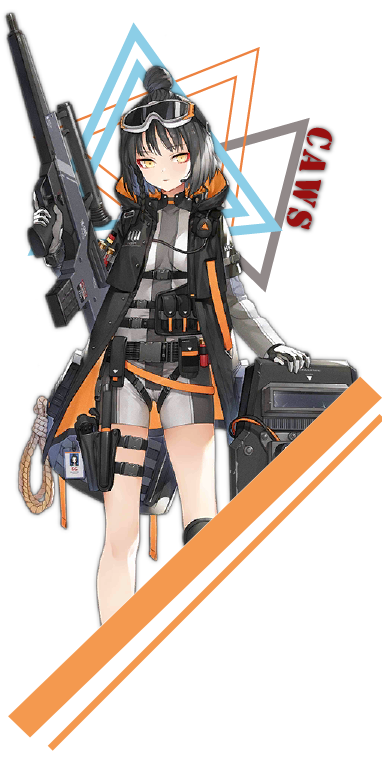 CAWS Custom ver.
