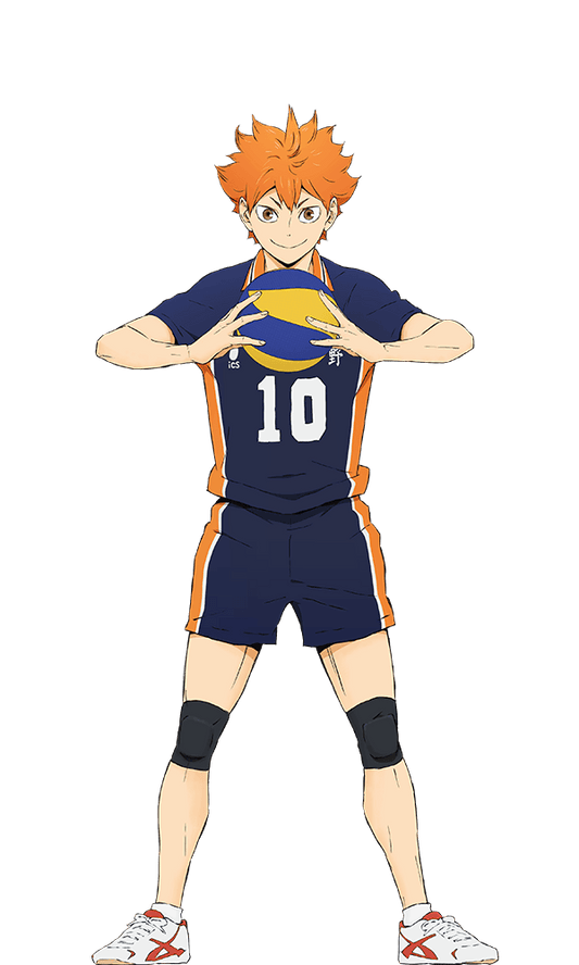 Shoyo Hinata v5