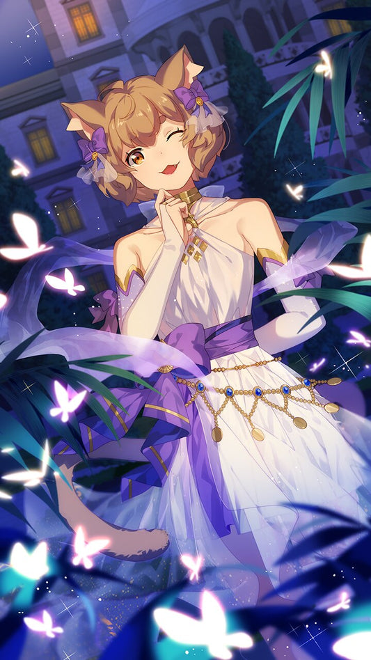 INFINITY Ferris 5 Star