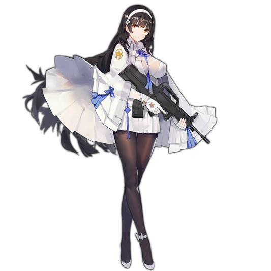 Type 95