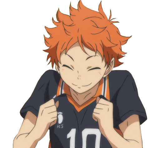 Shoyo Hinata v7