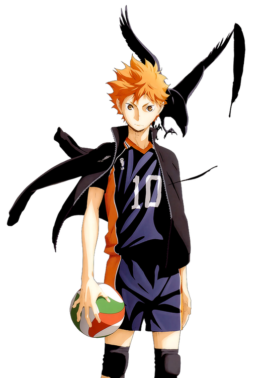 Shoyo Hinata v4