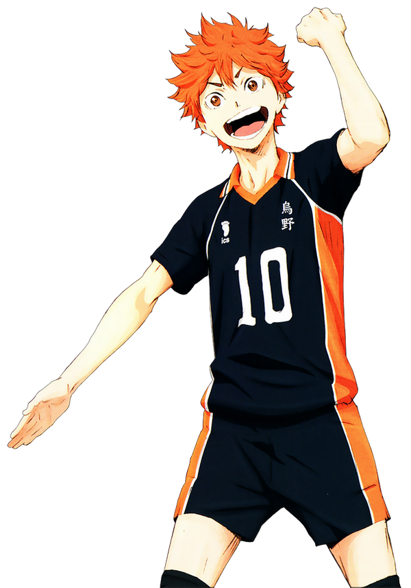 Shoyo Hinata v6