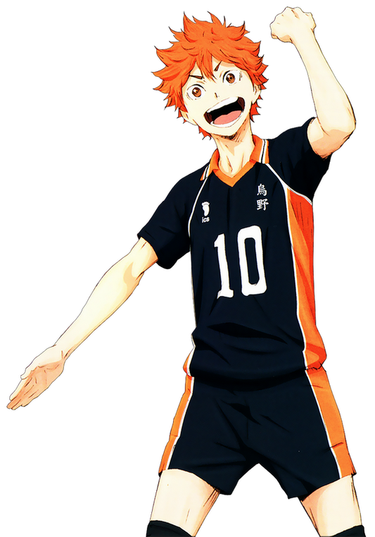 Shoyo Hinata v6
