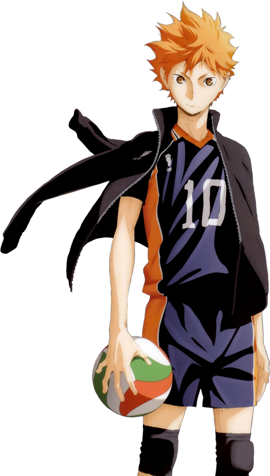 Shoyo Hinata v3