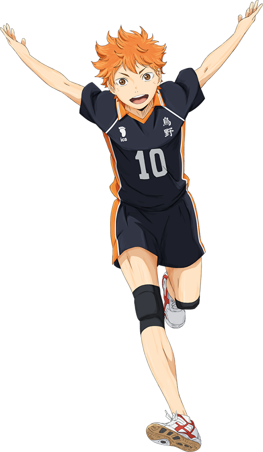 Shoyo Hinata v2