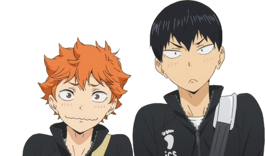 Tobio Kageyama and Shoyo Hinata