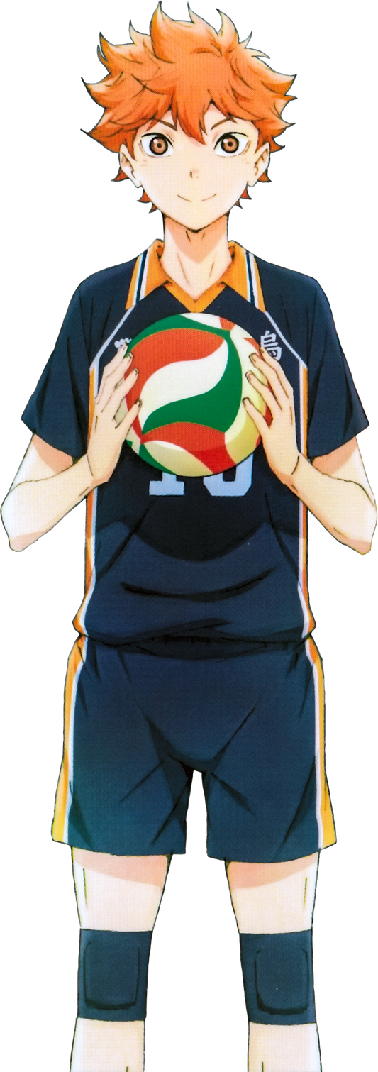 Shoyo Hinata